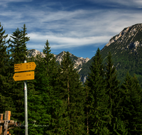 fileadmin/roha/images_galerie/orte_landschaft/Inzell/INZ-BAECK-ALM-0013-D-roha-Inzell-Baeckeralm-Beschilderung-Wanderweg-Zwiesel.png