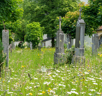 fileadmin/roha/images_galerie/orte_landschaft/Laufen/Klosterfriedhof/LAUF-KAPUZ-KI-0017-D-roha-Laufen-Kapuzinerkloster-Friedhof-Blumenwiese.png