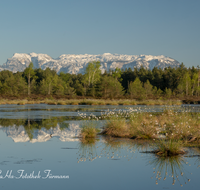 fileadmin/roha/images_galerie/orte_landschaft/Petting/Schoenramer-Moor/PE-SCHOENR-MOOR-0045-06-roha-Petting-Schoenramer-Moor-Moorsee-Untersberg.png