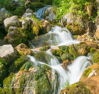 fileadmin/roha/images_galerie/wasser/WAS-WILDB-KIRCH-TAL-0002-D-roha-Wasser-Wildbach-Kirchental-St-Martin-b-Lofer.png