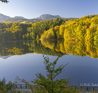 fileadmin/roha/images_galerie/Hintergrund-Download/1024x800/AN-HOE-HERB-0007-D-roha-Anger-Hoeglwoerth-See-Hochstaufen-Zwiesel-Herbst-Wald-Spiegelung.png