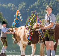 fileadmin/roha/images_galerie/brauchtum/Almabtrieb/Almabtrieb-Koenigssee/BR-ALMAB-BGD-2015-1117-01-D-roha-Brauchtum-Almabtrieb-Koenigssee-Salet-Schoenau-Fuikl-Kuh-Glocke-Seelaende.png