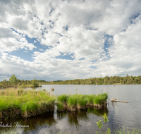 fileadmin/roha/images_galerie/orte_landschaft/Petting/Schoenramer-Moor/PE-SCHOENR-MOOR-0007-01-1-D-roha-Petting-Schoenramer-Moor-See-Wolken.png