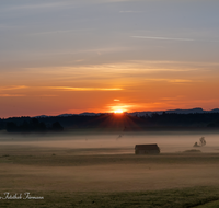 fileadmin/roha/images_galerie/stimmung-Sonne/Sonnenaufgang/SO-AU-HAARM-0015-05-D-roha-Sonne-Sonnenaufgang-Haarmoos-Nebel.png