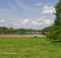 fileadmin/roha/images_galerie/orte_landschaft/Abtsdorf-Abtsdorfer-See/ABTS-SEE-0008-D-roha-Abtsdorfer-See-Leobendorf-Abtsdorf-Saaldorf-Laufen-Wasser-Fruehling.png