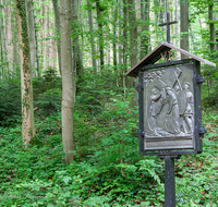 fileadmin/roha/images_galerie/kirche_religion/Ainring-Kreuzweg/KKKM-AINR-KR-06-0027-D-roha-Kreuzweg-Ainring-Ulrichshoegl-Wald-Weg.png