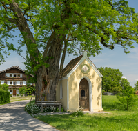 fileadmin/roha/images_galerie/kirche_religion/Laufen_-_Leobendorf/KKKM-LAUF-WIED-0002-D-roha-Kapelle-Laufen-Wiedmannsfelden.png