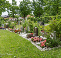 fileadmin/roha/images_galerie/kirche_religion/Bad_Reichenhall/KKKM-MARZ-FRIEDH-0004-D-roha-Kirche-Marzoll-Bad-Reichenhall-Friedhof.png