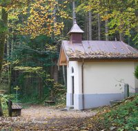 fileadmin/roha/images_galerie/kirche_religion/Teisendorf/KKKM-TEIS-0086-D-roha-Kapelle-Teisendorf-Lourdesgrotte-Wanderweg.png