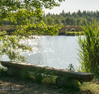 fileadmin/roha/images_galerie/orte_landschaft/Petting/Schoenramer-Moor/PE-SCHOENR-MOOR-0007-01-4-D-roha-Petting-Schoenramer-Moor-See-Stimmung-Bank.png