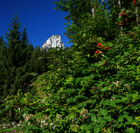 fileadmin/roha/images_galerie/orte_landschaft/Ruhpolding/RUH-HOERNDL-0012-D-roha-Ruhpolding-Hoerndlwand.png