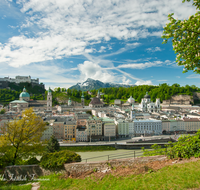 fileadmin/roha/images_galerie/orte_landschaft/Salzburg/SA-ALTST-0013-4-D-roha-Salzburg-Altstadt-Festung-Hohensalzburg-Dom-Salzach-Untersberg-Kastanienbaum.png