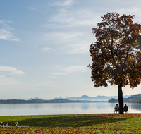 fileadmin/roha/images_galerie/orte_landschaft/Waging/WAG-STRANDK-0023-D-roha-Waging-Strandkurhaus-Park-Herbst.png