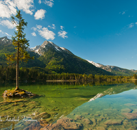 fileadmin/roha/images_galerie/orte_landschaft/Berchtesgaden/Ramsau/BGD-RA-HI-0019-D-roha-Berchtesgaden-Ramsau-Hintersee-Hochkalter-Wasser.png