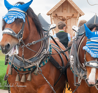 fileadmin/roha/images_galerie/brauchtum/Leonhardiritt/Holzhausen_01/BR-PFRI-HOLZ-2015-0046-D-roha-Brauchtum-Pferdeumritt-Holzhausen-Teisendorf-Leonhardiritt-Kaltblut-Gespann-Wegkreuz.png