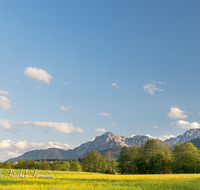 fileadmin/roha/images_galerie/orte_landschaft/Teisendorf/IN-LANDS-Teisendorf/LANDS-TEIS-0002-04-D-roha-Landschaft-Teisendorf-Karlsbach-Fruehling-Blumenwiese-Hochstaufen-Zwiesel.png