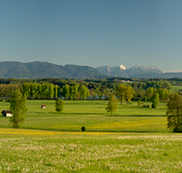 fileadmin/roha/images_galerie/orte_landschaft/Waging/WAG-SEE-WOLK-0010-D-P-roha-Waginger-See-Waging-Untersberg-Hochstaufen-Zwiesel-Teisenberg.png