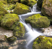 fileadmin/roha/images_galerie/wasser/WAS-FALL-GOLL-0014-D-roha-Wasserfall-Gollinger-Kuchl.png