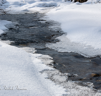 fileadmin/roha/images_galerie/Winter/WINT-EIS-ACHT-0002-D-roha-Winter-Schnee-Eis-Achthal-Ache-Wasser.png