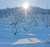 fileadmin/roha/images_galerie/Winter/WINT-TEI-STOI-0002-D-roha-Winter-Schnee-Tanne-Fichte-Teisenberg-Teisendorf-Stimmung.png