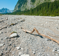 fileadmin/roha/images_galerie/orte_landschaft/Berchtesgaden/Wimbachklamm-Wimbachgries/BGD-WIMB-0026-D-roha-Berchtesgaden-Ramsau-Wimbachgries-Nationalpark-Palfenhorn-Totholz.png