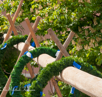 fileadmin/roha/images_galerie/brauchtum/Maibaum/Teisendorf/BR-MAIB-TEI-0100-2015-1209-02-D-roha-Brauchtum-Maibaum-Teisendorf-Aufstellen-Kastanien.png