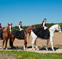 fileadmin/roha/images_galerie/brauchtum/Leonhardiritt/Holzhausen_01/BR-PFRI-HOLZ-0078-D-roha-Brauchtum-Pferdeumritt-Holzhausen-Teisendorf-Leonhardiritt-Pferd-Reiterin.png