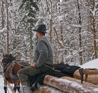 fileadmin/roha/images_galerie/Landwirtschaft/Forst-Holzknecht/HOLZKNE-HAM-PFERD-0003-D-roha-Holzknecht-Pferd-Schlitten-Winter-Siegsdorf-Hammer-Winterzug.png