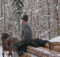 fileadmin/roha/images_galerie/Landwirtschaft/Forst-Holzknecht/HOLZKNE-HAM-PFERD-0003-D-roha-Holzknecht-Pferd-Schlitten-Winter-Siegsdorf-Hammer-Winterzug.png