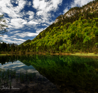 fileadmin/roha/images_galerie/orte_landschaft/Inzell/INZ-FALKS-0010-D-roha-Inzell-Falkensee-Wasser.png