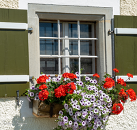 fileadmin/roha/images_galerie/Baum-natur-garten/Haus-Blumenschmuck-Deko/LANDA-FENST-BERG-BLUM-0001-D-roha-Landart-Fenster-Blumenschmuck.png