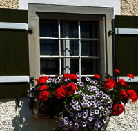 fileadmin/roha/images_galerie/Baum-natur-garten/Haus-Blumenschmuck-Deko/LANDA-FENST-BERG-BLUM-0001-D-roha-Landart-Fenster-Blumenschmuck.png