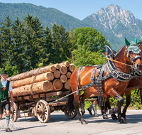 fileadmin/roha/images_galerie/orte_landschaft/Piding/Piding-Feste-Theater-usw/PID-REIT-FE-2019-1110-11-D-roha-Piding-Reiterfest-Holzfuhrwerk_01.png