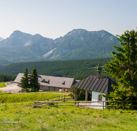 fileadmin/roha/Interessantes-in-Kurzform/ab-4-2021/TEI-STO-0017-D-roha-Teisendorf-Anger-Stoisseralm-Hochstaufen-Zwiesel-Kapelle.png