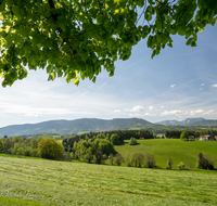 fileadmin/roha/images_galerie/orte_landschaft/Teisendorf/Neukirchen/LANDS-NEUK-PAN-0009-D-roha-Landschaft-Neukirchen-Chiemgau-Berge.png