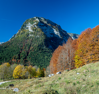 fileadmin/roha/images_galerie/orte_landschaft/Berchtesgaden/Ramsau/BGD-RA-LAN-0010-04-D-roha-Berchtesgaden-Ramsau-Landschaft-Reiter-Alpe-Herbst.png