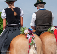 fileadmin/roha/images_galerie/brauchtum/Leonhardiritt/Holzhausen_01/Holzhausen-Ritt-2019/BR-PFRI-HOLZ-2019-0945-01-D-roha-Brauchtum-Pferdeumritt-Leonhardiritt-Holzhausen-Teisendorf-Pferd.png