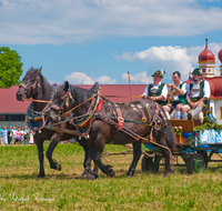 fileadmin/roha/images_galerie/brauchtum/Leonhardiritt/Holzhausen_01/Kaltblutfest/BR-PFRI-HOLZ-KALTBL-0076-D-roha-Brauchtum-Kaltblut-Pferd-Fest-Holzhausen-St-Bartholomae.png