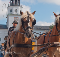 fileadmin/roha/images_galerie/orte_landschaft/Salzburg/Menschen-Gruenmarkt/SA-FIAK-0013-D-roha-Salzburg-Fiaker-Pferde-Residenzplatz-Glockenspiel.png