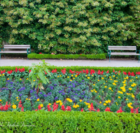 fileadmin/roha/images_galerie/orte_landschaft/Salzburg/Mirabell-Zwergerlgarten/SA-MIRA-GART-RAB-0013-D-roha-Salzburg-Schloss-Mirabell-Garten-Blumen-Rabatte.png