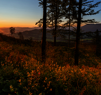 fileadmin/roha/Interessantes-in-Kurzform/ab-5-2023/SO-AU-ANG-TEISB-STOISSB-0001-0555-D-roha-Sonnenaufgang-Anger-Stoissberg-Neuhaus.png