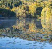 fileadmin/roha/images_galerie/orte_landschaft/Anger/Hoeglwoerth/AN-HOE-HERB-0013-D-roha-Anger-Hoeglwoerth-See-Herbst-Wald-Spiegelung.png