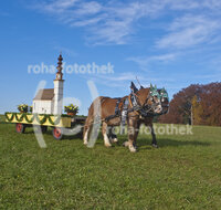 fileadmin/roha/images_galerie/brauchtum/Leonhardiritt/St_Leonhard-Wonneberg/BR-PFRI-WONNE-0055-D-roha-Brauchtum-Pferdeumritt-Wonneberg-St-Leonhard-Pferd-Gespann.jpg