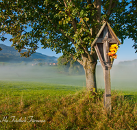 fileadmin/roha/images_galerie/kirche_religion/Teisendorf/Freidling-Berg-Stoisseralm/KKKM-TEIS-BERG-SCHN-0007-D-roha-Wegkreuz-Teisendorf-Schnelling-Nebel.png