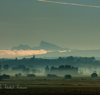 fileadmin/roha/images_galerie/stimmung-Sonne/STIM-HAARM-ABTS-0003-D-roha-Stimmung-Haarmoos-Abtsdorf-Stadel-Sonnenaufgang.png