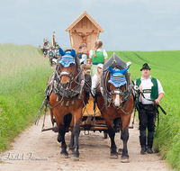 fileadmin/roha/images_galerie/brauchtum/Leonhardiritt/Holzhausen_01/BR-PFRI-HOLZ-2015-0044-D-roha-Brauchtum-Pferdeumritt-Holzhausen-Teisendorf-Leonhardiritt-Kaltblut-Gespann-Wegkreuz.png