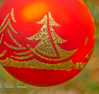 fileadmin/roha/images_galerie/brauchtum/Weihnachten/BR-WEIH-SCHMUCK-0052-D-roha-Brauchtum-Weihnachten-Christbaum-Kugel-rot-gold.png