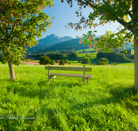 fileadmin/roha/images_galerie/Zaun-Bank/LANDS-ANG-0045-D-roha-Landschaft-Anger-Hochstaufen-Zwiesel-Hoeglwoerth-Bank.png