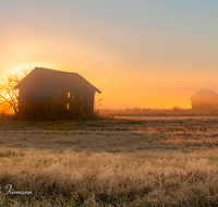 fileadmin/roha/Interessantes-in-Kurzform/SO-AU-HAARM-0031-0749-02-D-roha-Sonne-Sonnenaufgang-Haarmoos-Nebel-Stadel.png