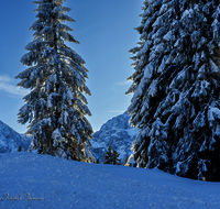 fileadmin/roha/images_galerie/Winter/STIM-BGD-ROSSF-WI-0007-D-roha-Stimmung-Winter-Rossfeld-Berchtesgaden-Sonne.png